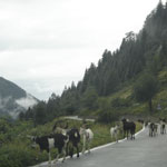 motorvakantie, noord-italie, orobische-alpen, valle-brembana.