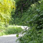 aanbieding-2014, noord-italie, vakantie, appartement