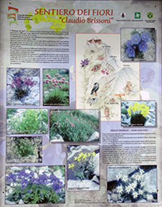 Flora-noord-italie, sentiero-dei-fiori