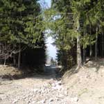 ItaliAdesso-Vakantie-bestemming-Noord-Italie-Dossena-bospad