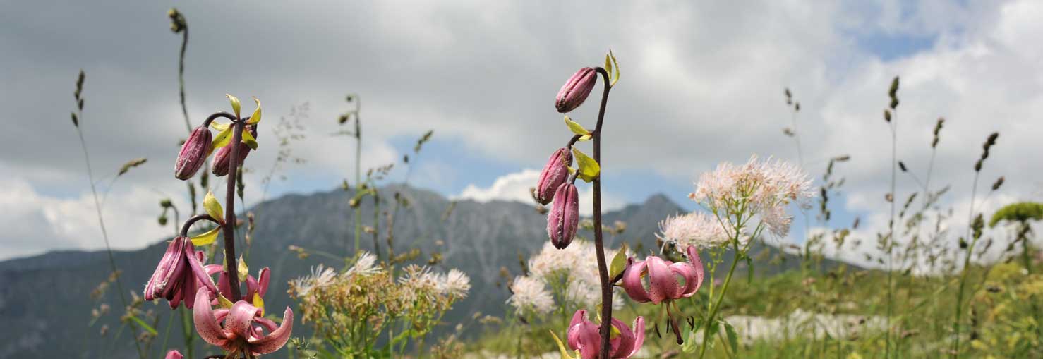 vakantie, valle-brembana, italiadesso, Noord-Italie, appartementen, hotels, bed-and-breakfast, agriturismo