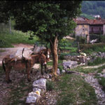 ItaliAdesso-Strada-Taverna-Catremerio-Valle-Brembana-Bergamo-Noord-Italie-wandelen
