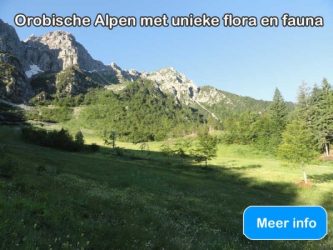 Orobische-Alpen, Valle-Brembana, Noord-Italie, vakantie, ItaliAdesso