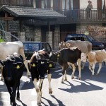 Vakantie-bestemming-Noord-Italie-Oltre-il-Colle-BG (4)