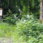 vakantie-bestemming-noord-italie-branzi-bergamo (8)