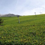 actieve-vakantie, hotel-neve, hotel, noord-italie, valle-brembana, wandelen, mtb, wintersport, italiadesso, orobische-alpen.