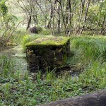 fietsroute-langs-rivier-noord-italie-lenna-bg (1)