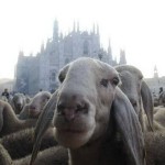 ultimo-pastore-DMFF_ItaliAdesso