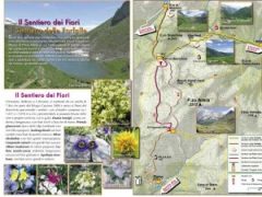 bloemenwandelroute, arera, orobische-alpen, noord-italie.