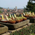 orto-botanico-bergamo-noord-italie-4