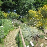 orto-botanico-bergamo-noord-italie-7