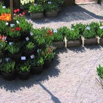 orto-botanico-bergamo-noord-italie-9