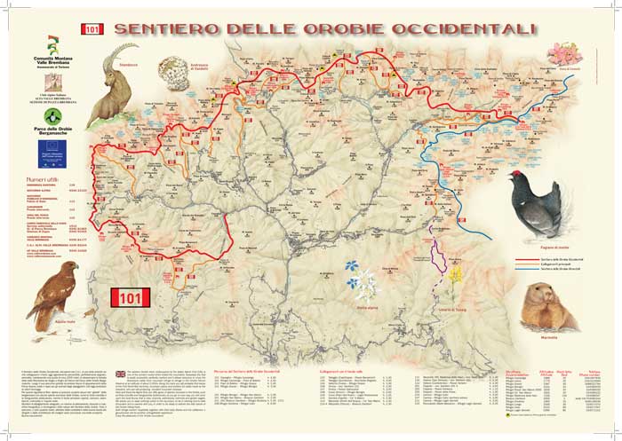 sentiero-delle-orobie-occidentale