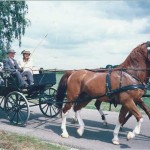 WK-melken-met-de-hand-Jan-Roelof-Spijkervet-(9)