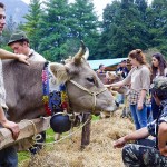 wereldkampioenschap-melken-met-de-hand-ItaliAdesso (2)