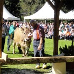 WK-melken-met-de-hand-2015-Valle-Brembana-ItaliAdesso (1)
