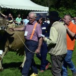 WK-melken-met-de-hand-2015-Valle-Brembana-ItaliAdesso (3)