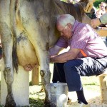 WK-melken-met-de-hand-2015-Valle-Brembana-ItaliAdesso (4)