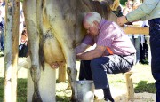 WK melken met de hand, spijkervet, noord-italie, valle-brembana