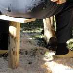 WK-melken-met-de-hand-2015-Valle-Brembana-ItaliAdesso (9)